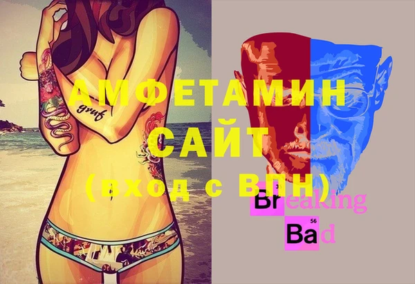 гидра Бронницы
