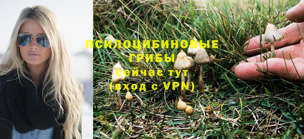 гидра Бронницы